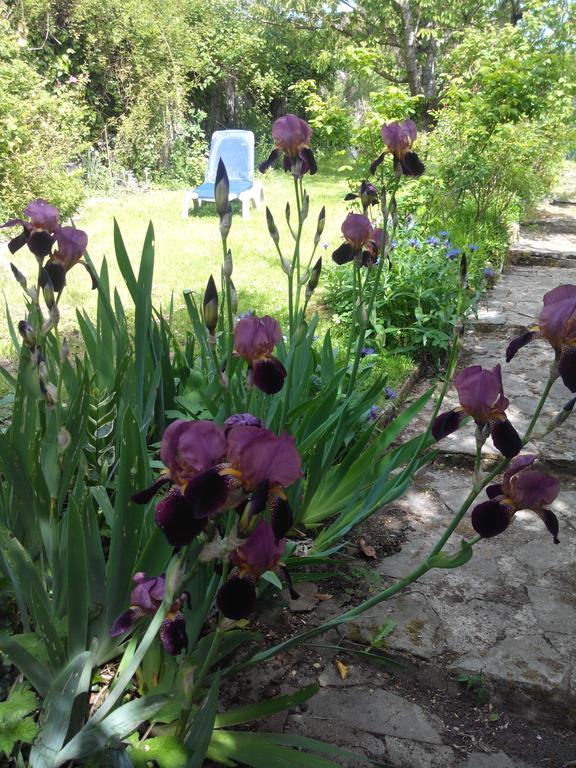 Gite De Charme Floreales Les Myosotis Asnelles Room photo